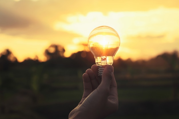 Light bulb on hand with sunshine