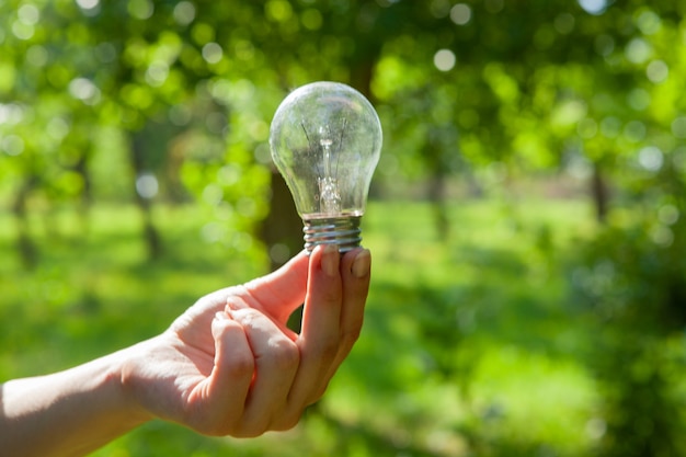 自然の背景に電球