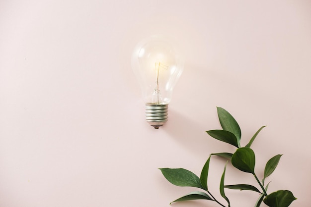 Light bulb with green leaves
