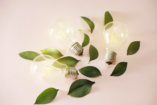 Light bulb with green leaves