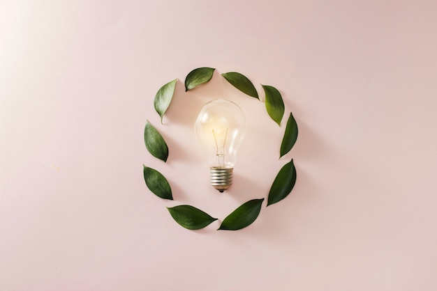 Light bulb with green leaves