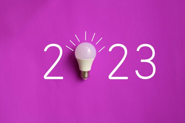 A light bulb with the numbers 2023 on a purple background.