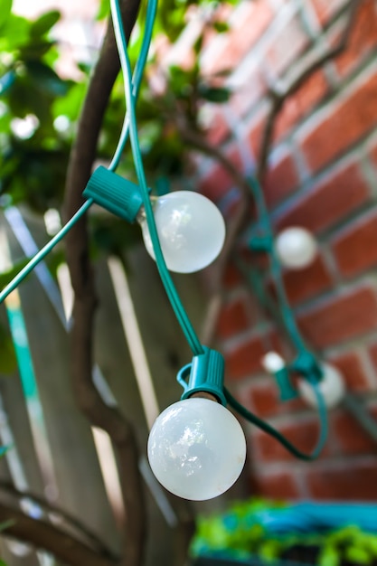 Light bulbs in the garden