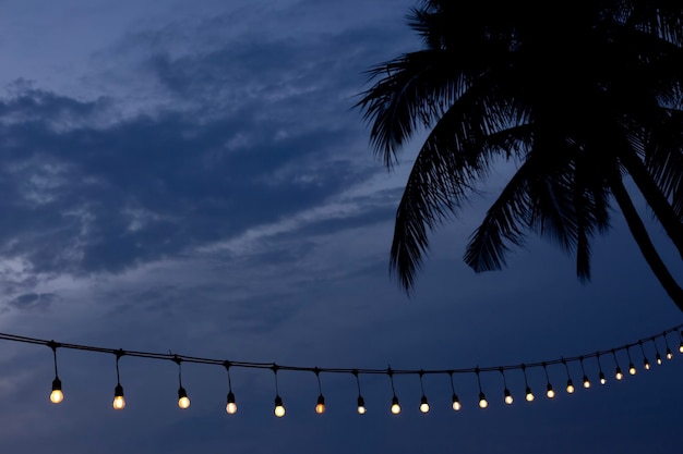 light bulbs garland on sunset coconut palm tree silhouette background