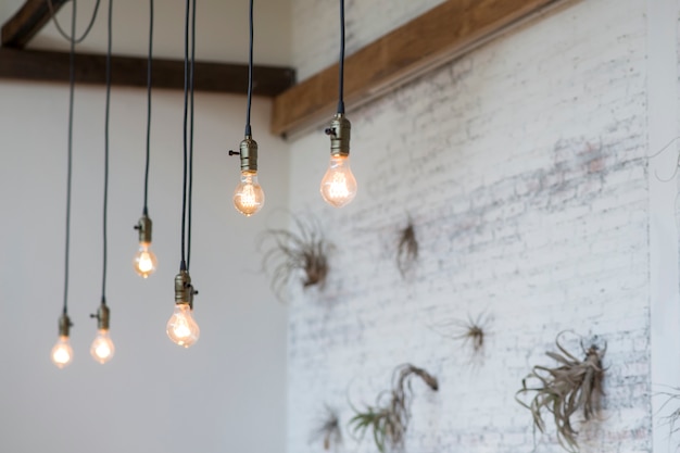 Light bulbs hanging from the roof 