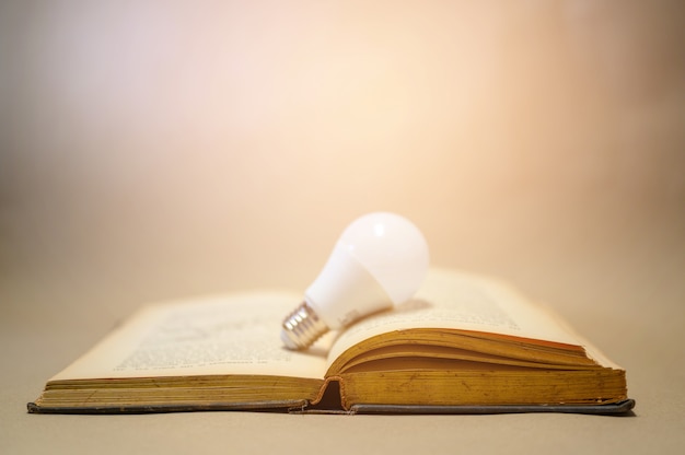 Light bulbs placed on brown books that are opened