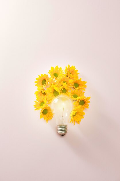 Light bulbs to save energy with flowers around on pink background