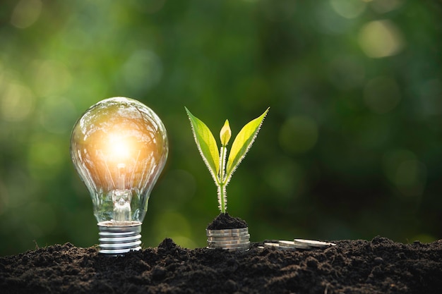 Light bulbs with glowing one