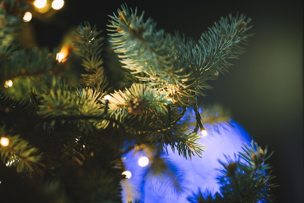 Light on the Christmas tree branch