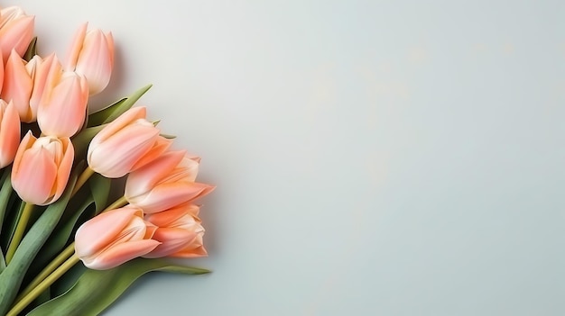 светлый коралловый персиковый цвет тюльпаны цветы букет весна цветочный баннер место для текста