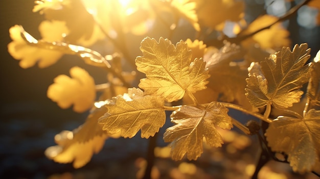 Light Filters Through Colorful Leaves in the Forest