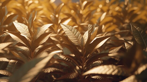 Photo light filters through colorful leaves in the forest