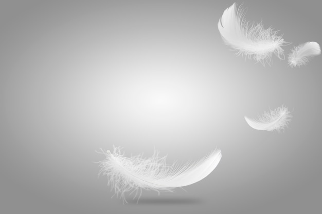 Light fluffy a white feathers falling down in the air.