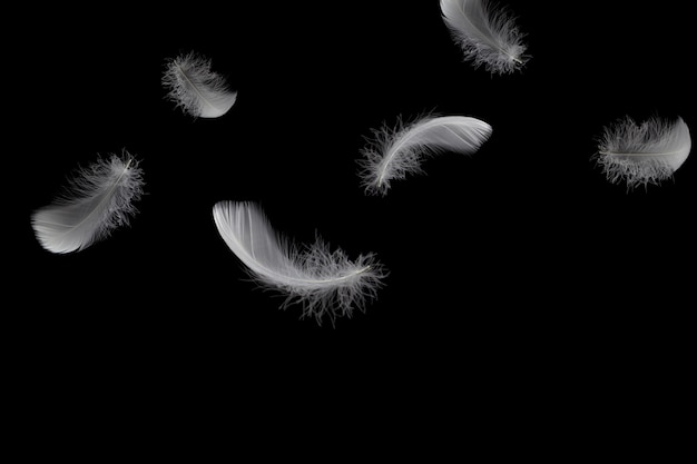 Light fluffy white feathers falling down in the dark