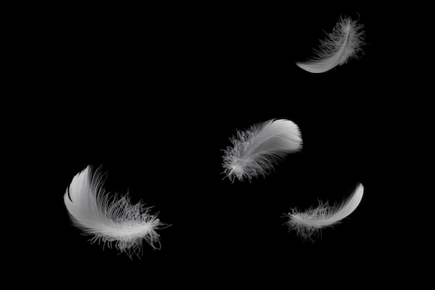 Light fluffy white feathers floating in the air