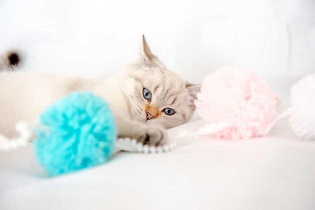 светло-серый кот лежит на кровати на белой простыне и играет с клубками