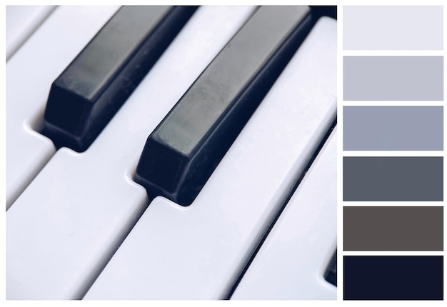 Tavolozza di colori grigio chiaro per designer creata dal primo piano di un pianoforte