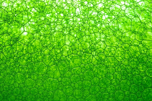 Light Green Background Closeup of Oil Drops in Water Abstract Macro Photo of Liquid Surface with Bu