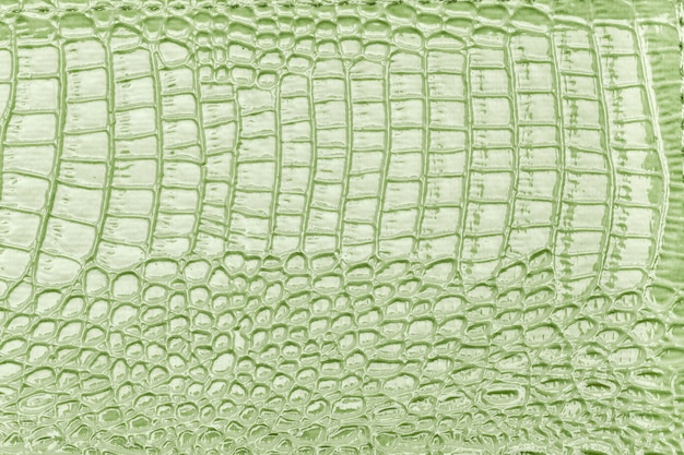 Light green leather texture background, closeup. Reptile skin, macro.