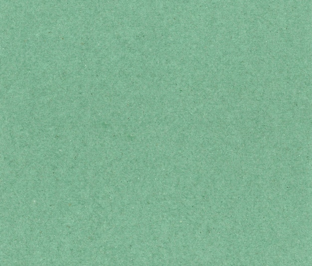 Light green paper texture background