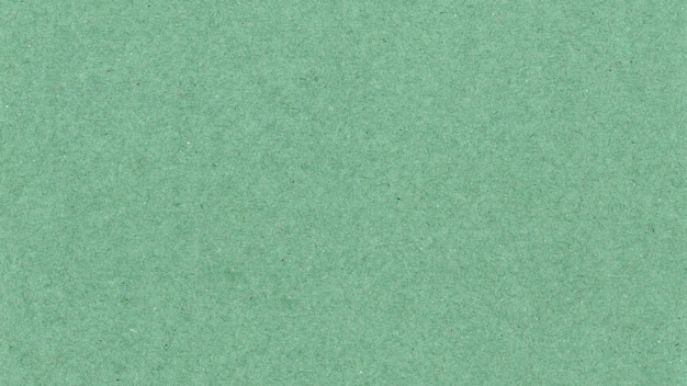 Light green paper texture background