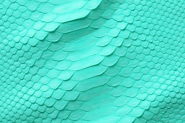 Light green snake skin natural python texture