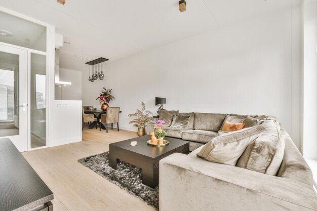 Light living room with wicker armchair and sofa