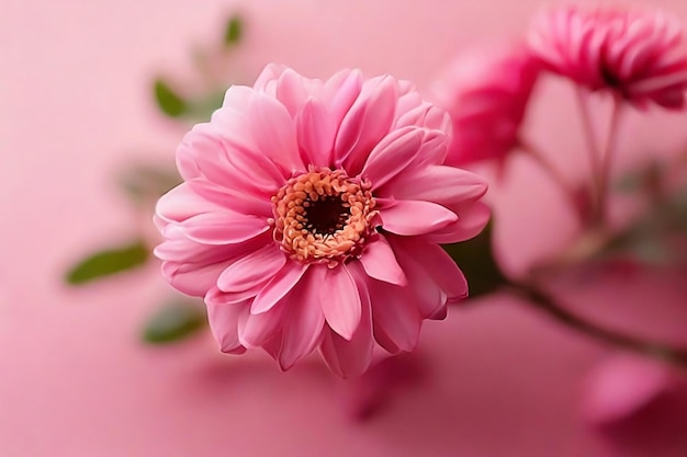 Photo light pink background and details on the brig with pretty flowers