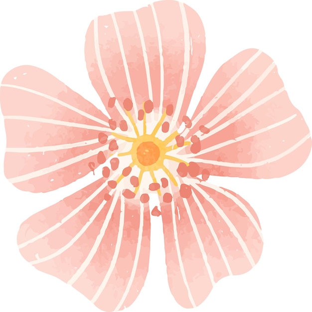 light pink striped flower