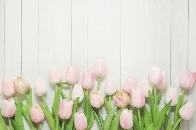 Light pink tulips flowers on light wooden background.