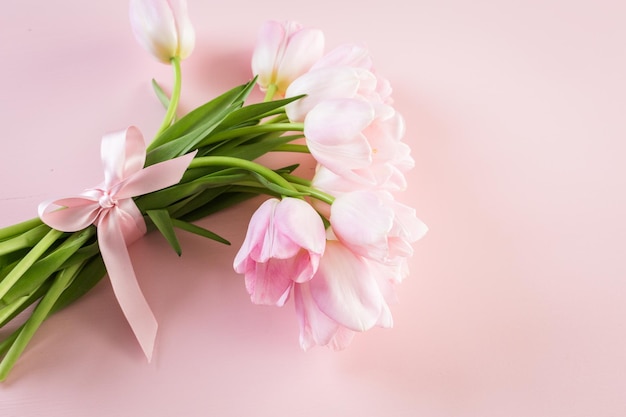 Светло-розовые тюльпаны на розовом фоне.