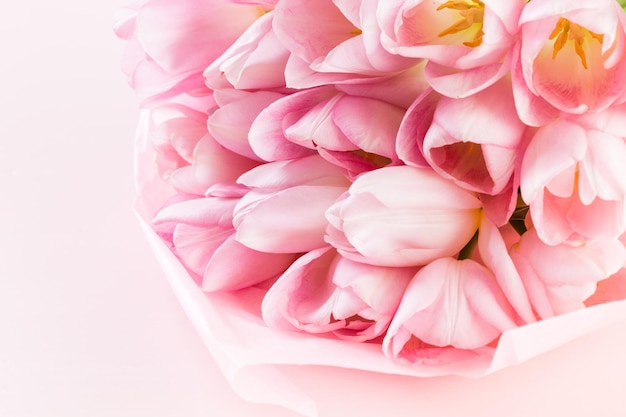 Light pink tulips on a pink background.