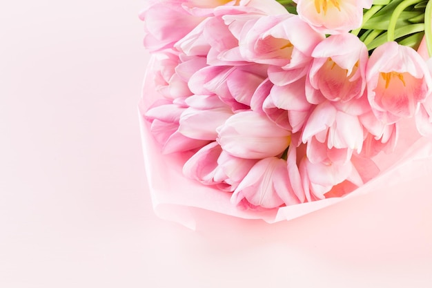 Light pink tulips on a pink background.