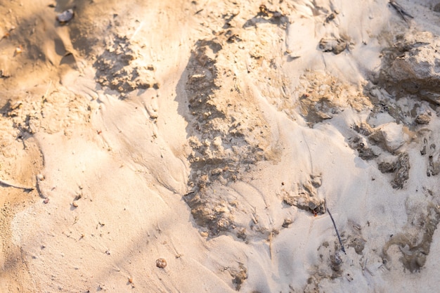 Light sea sand with a beautiful texture