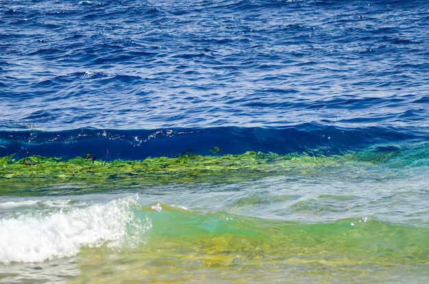 Light sea surf during the hot wind Egypt Sharm El Sheikh