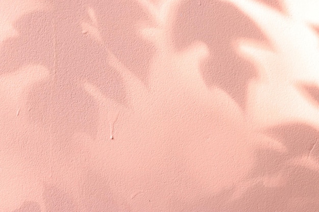 Light and shadow leaves on the cement wall