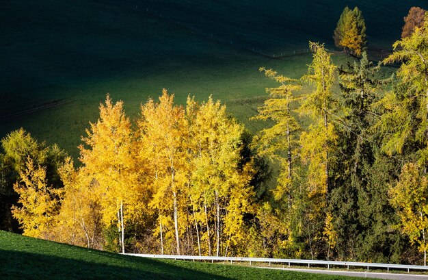 빛과 그림자 가을 산타 막달레나 이탈리아 산악 마을 주변 잔디 언덕과 이차 구불구불한 도로 그림 같은 여행 계절 및 시골 아름다움 개념 보기