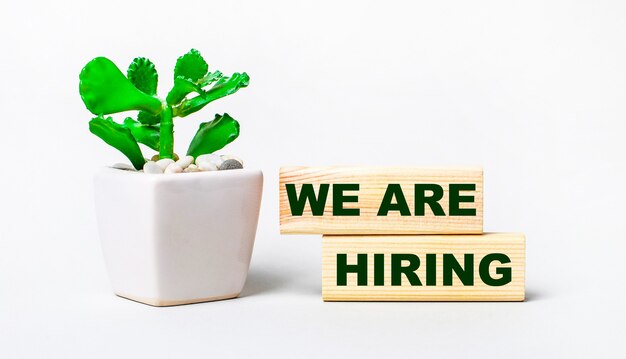 On a light surface, a plant in a pot and two wooden blocks with the text WE ARE HIRING.