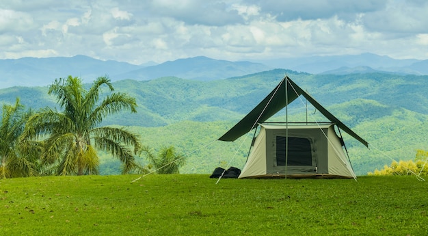 초원 사이의 숲 캠프에서 안개와 태양이 뜨는 것을 볼 수 있는 가벼운 텐트.