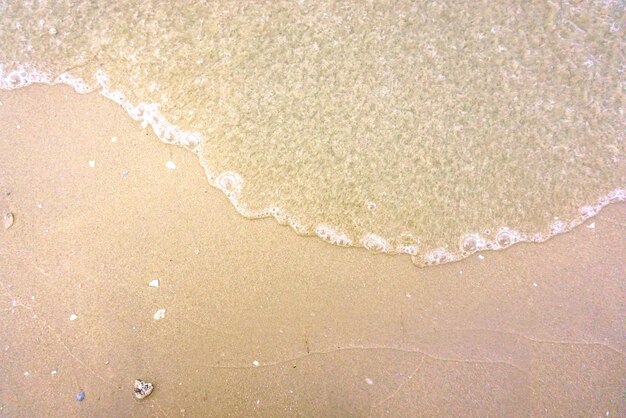 해변 배경에 텍스트를 위한 공간이 있는 빛의 파도와 투명한 바다..