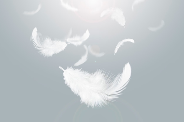 Light White Feathers Flaoting in The Sky