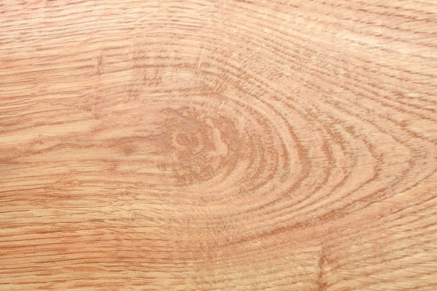 Light wood texture 