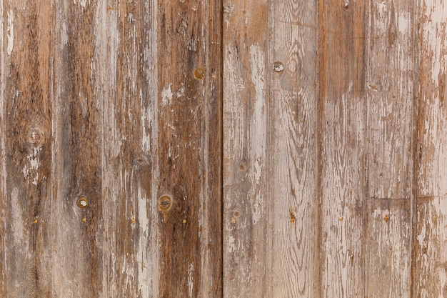 Photo light wooden boards, wood texture. wooden boards