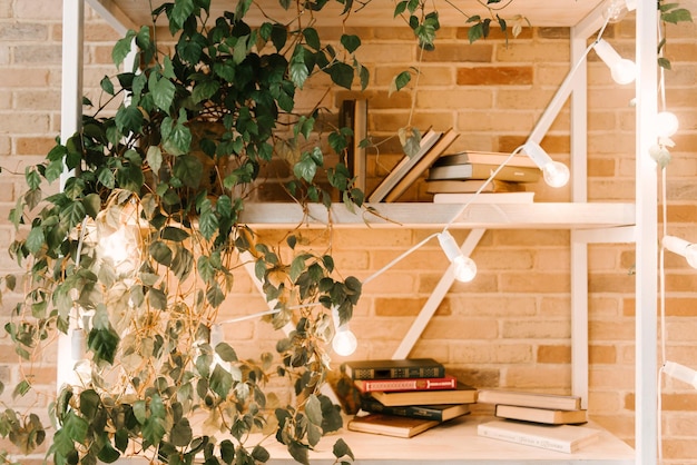 Light wooden bookshelves with hardback overturned books in white interior indoor flowers on the shelves home library biophilic design and plants