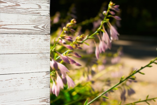 Light wooden wall in the background, blurred background