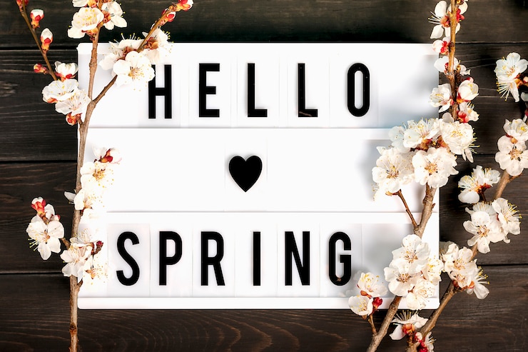 Photo lightbox with quote hello spring and sprigs of the apricot tree flowers on wooden background