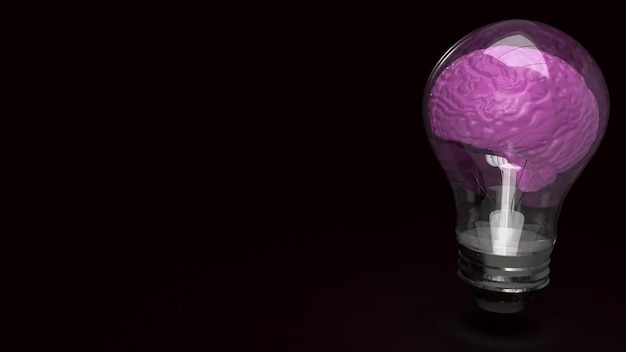 The lightbulb brain on black background 3d rendering