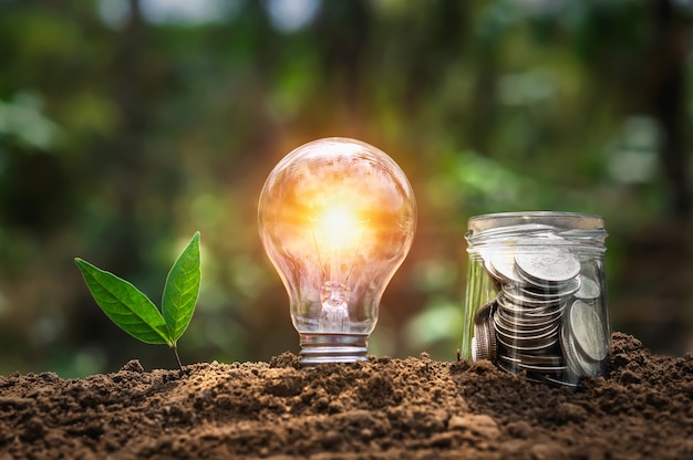 Lightbulb with plant growing and money in jug glass on soil in nature