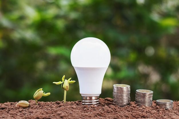 Lightbulb with plant growing and money stack on soil.