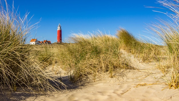 Photo lighthouse on beach against sky